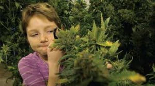 Cannakids & THC: Revisiting Brave Mykayla, Who Shared With The World Her Controversial Cannabis Cure