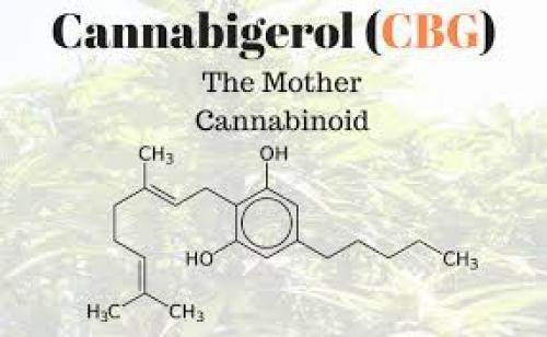 Cannabinoids 101: CBG
