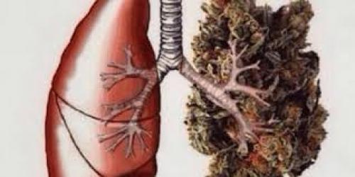 THC and Your Lungs