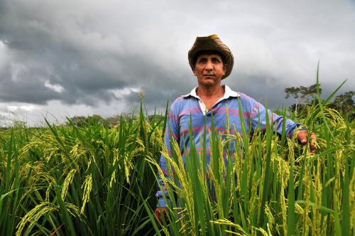 Bolivia to Be Completely Food Independent in 2020 by Investing in Small Farmers
