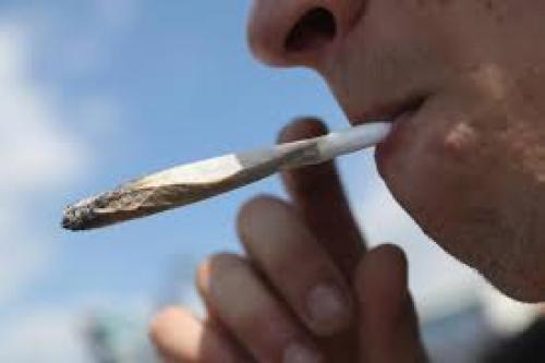 World Health Organization Admits They Were Wrong About Marijuana