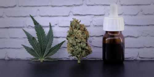 Move Aside, CBD: New Data Finds THC Is the Real Medicine in Medical Marijuana