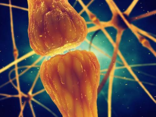 Four Types of Cannabinoid Receptors For Killing Pain and Stopping Inflammation