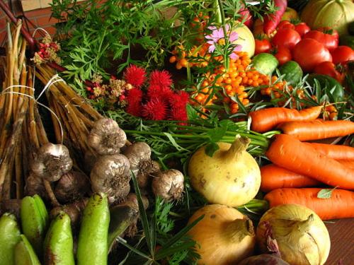 Doctors may soon be prescribing vegetables instead of drugs to prevent disease
