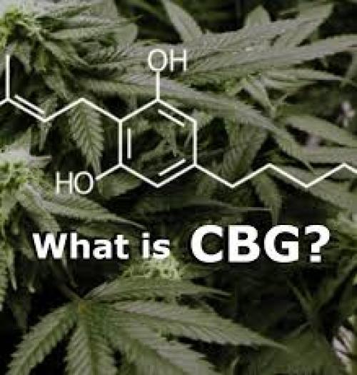 CBG Primary Cannabinoid