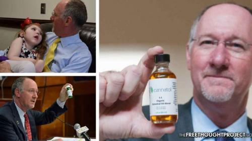 DEA Slapped in Face: American Epilepsy Society Accepts Marijuana Extract Obliterates Seizures in Epileptic Children