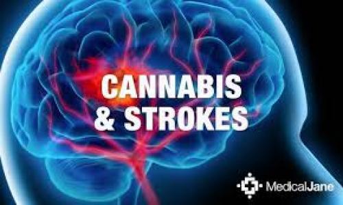 Study Says Marijuana Greatly Reduces Risk Of Stroke