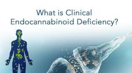 The Endocannabinoid System and Clinical Endocannabinoid Deficiency