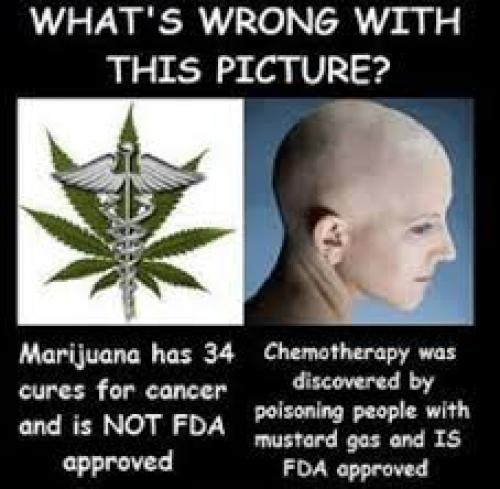 Marijuana Is a Wonder Drug When It Comes to the Horrors of Chemo
