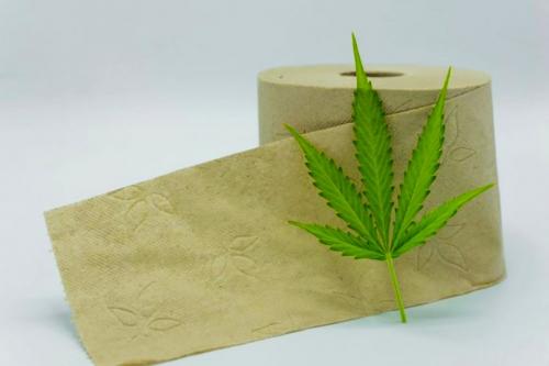 Hemp Toilet Paper Could Save The World.